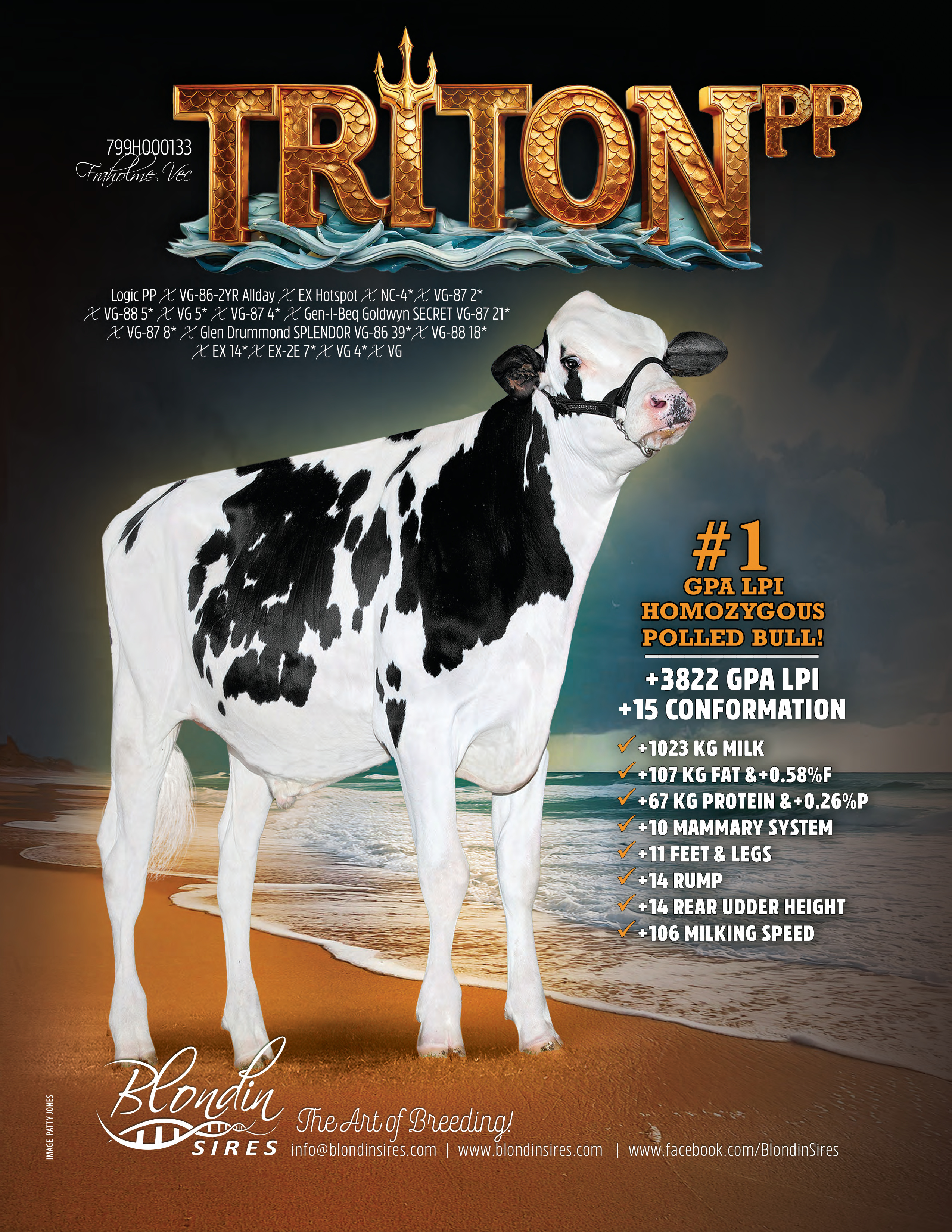 TRITON — 799HO00133